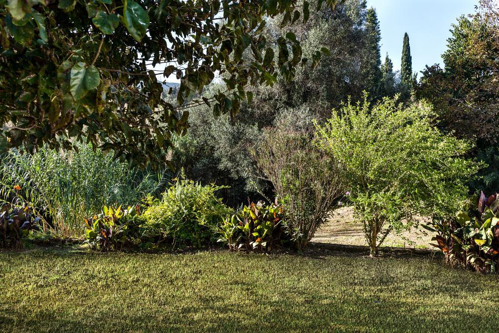 Zen Stone House Villa Agios Georgios Pagon Værelse billede